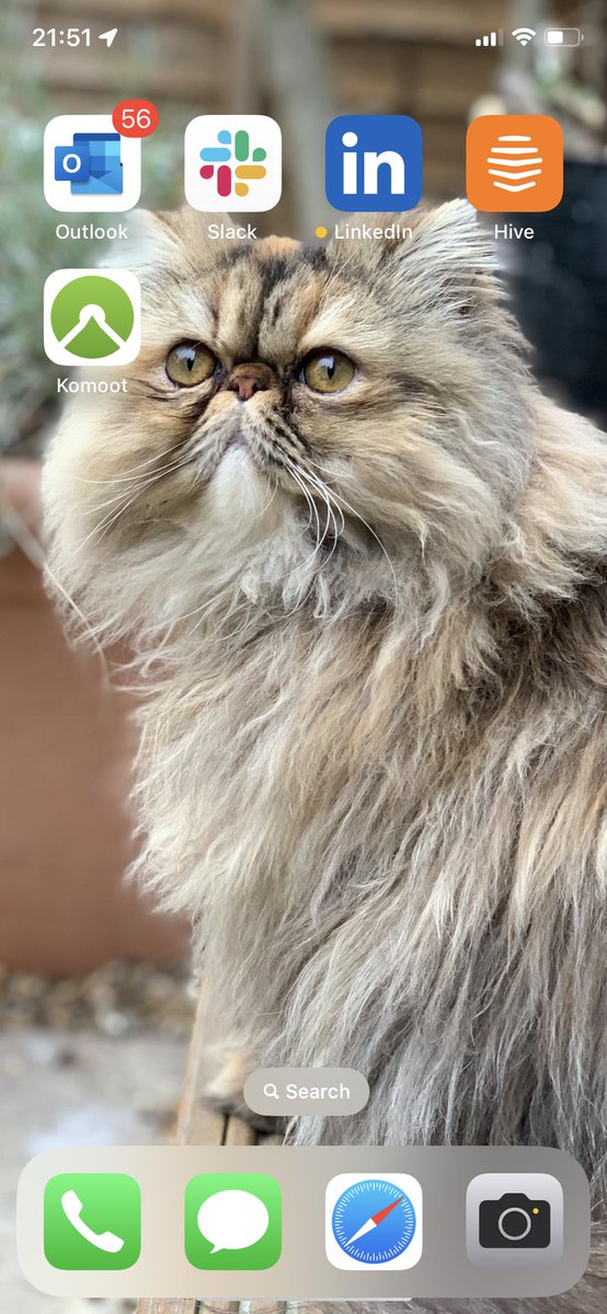 Daniel Harvey #BLM tweet media