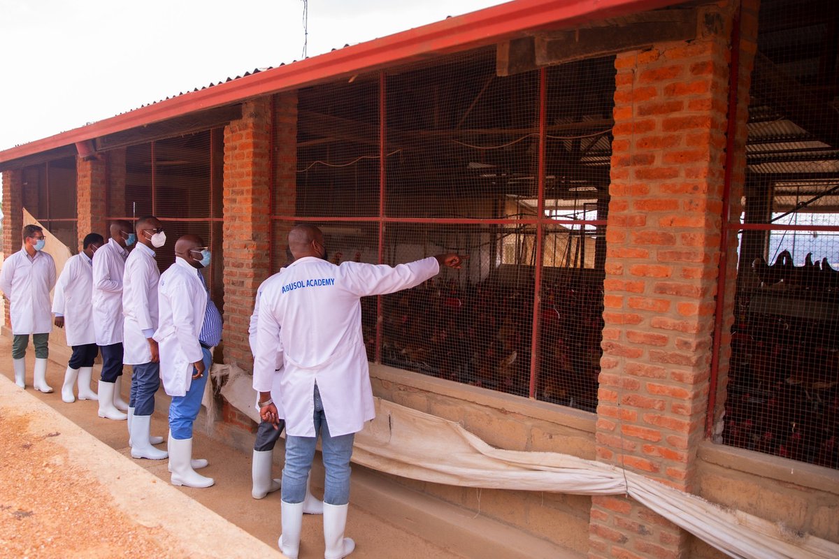 ABUSOL (Agribusiness Solution Ltd) (@Abusolltd) / Posts / X
