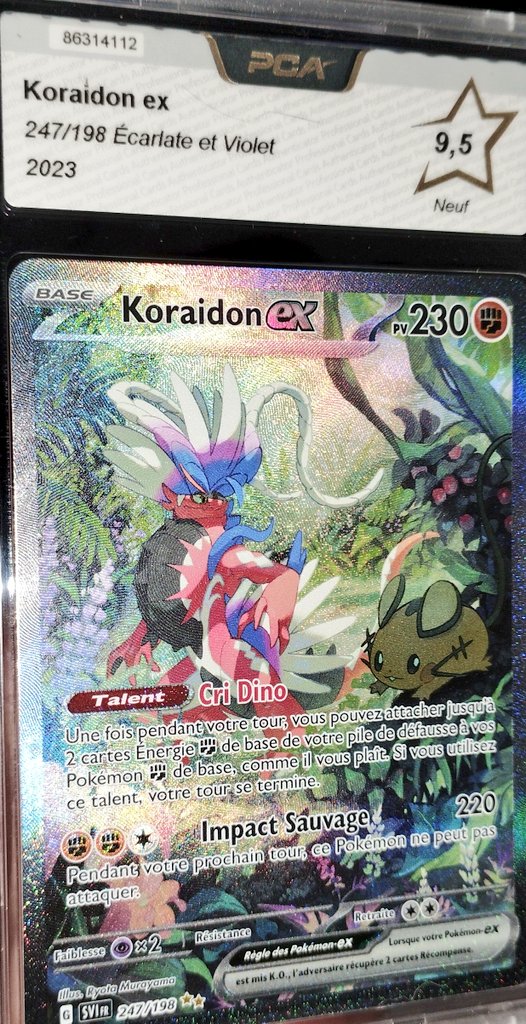DarkFuneral972's tweet photo. Récupéré mes petites cartes gradées via @YamanoteShop j'ai eu des petites notes sympa ! https://t.co/FwGqB2LQe4