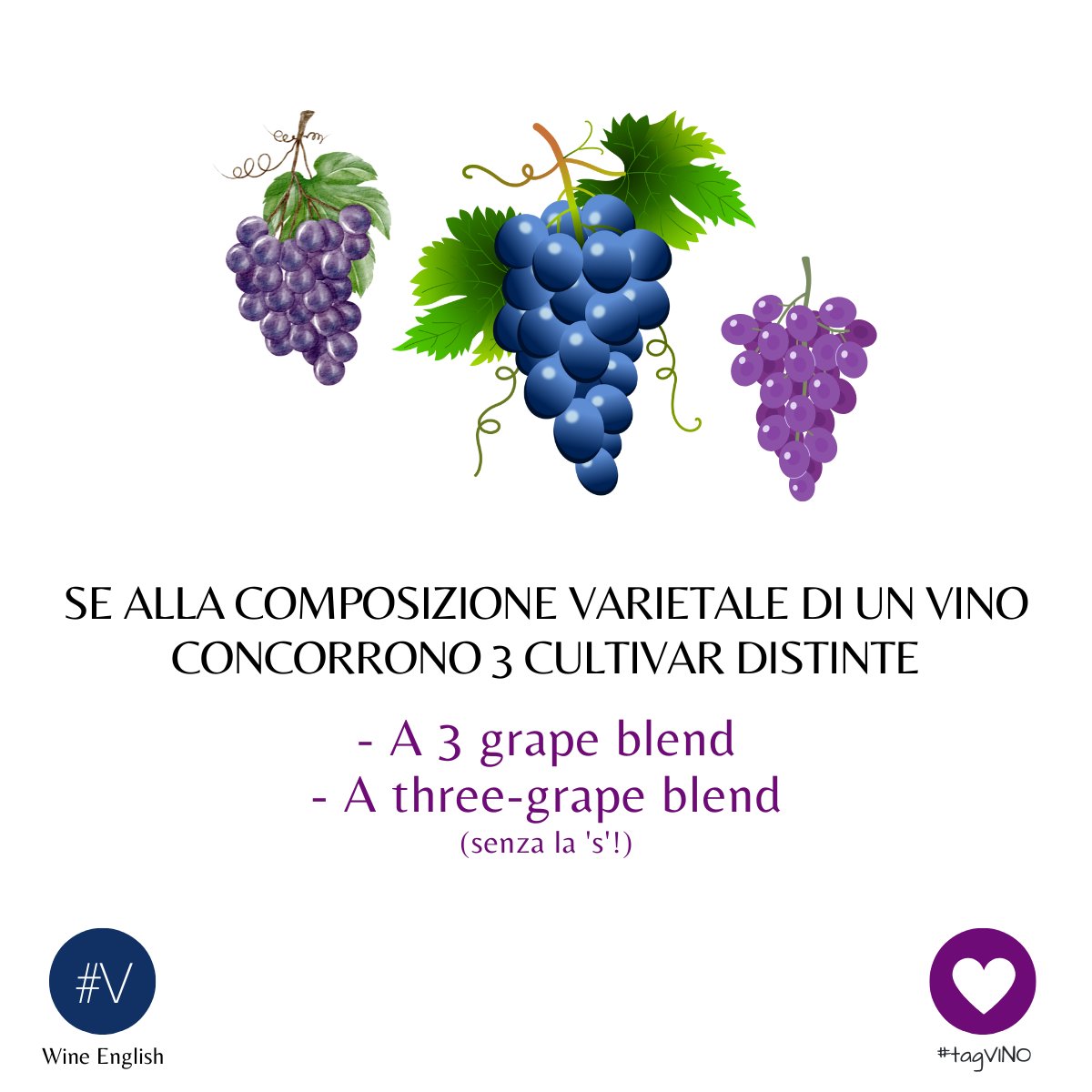 [ #WineEnglish ] - with tagVINO

🇬🇧 Vorresti approfondire la terminologia del vino in lingua inglese? 👉🏻  amzn.to/3Og2hUD  

#Vinorosso #Vinobianco #Vinoitaliano #WineEnglish #cantina #enoteca #degustazione #enologia #enologo #amarone #chianticlassico #bolgheri #vino