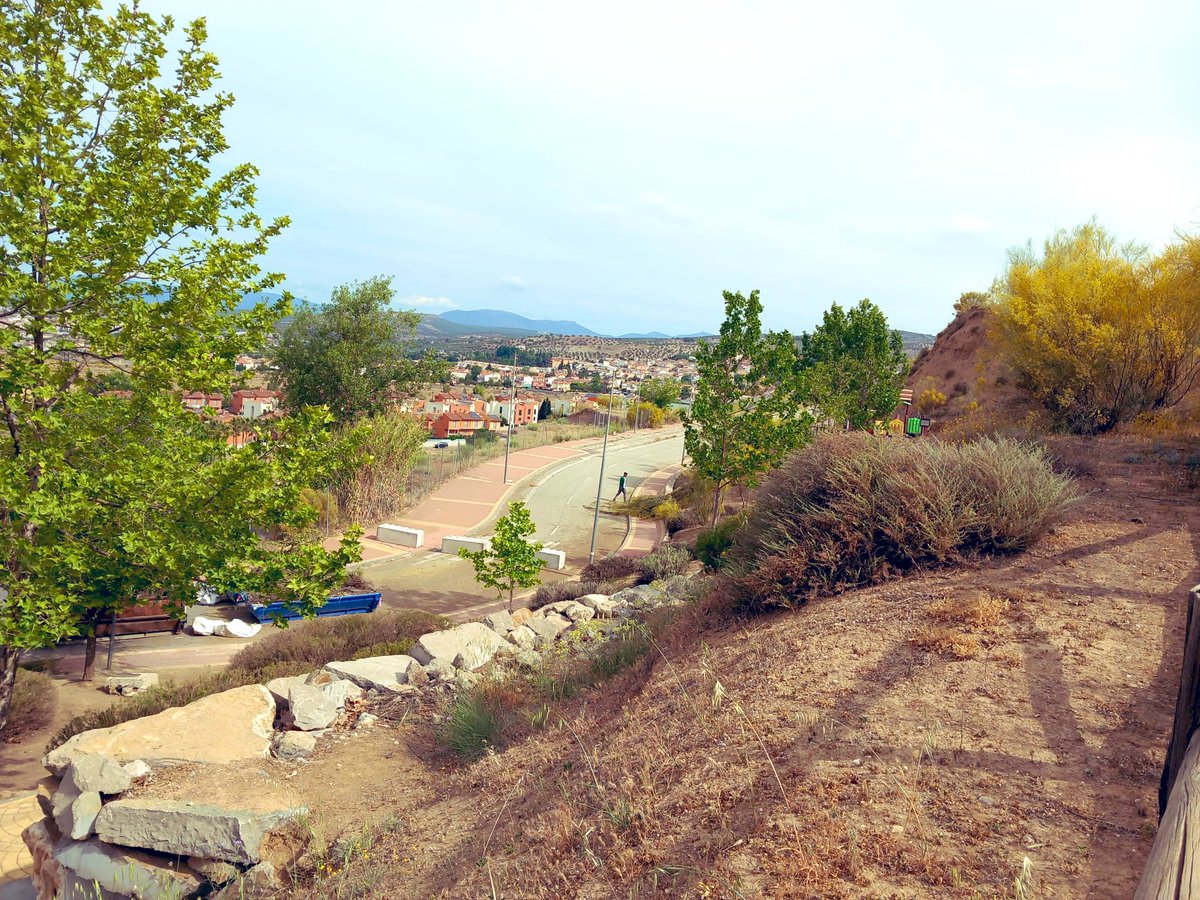 Aurora Suárez tweet media