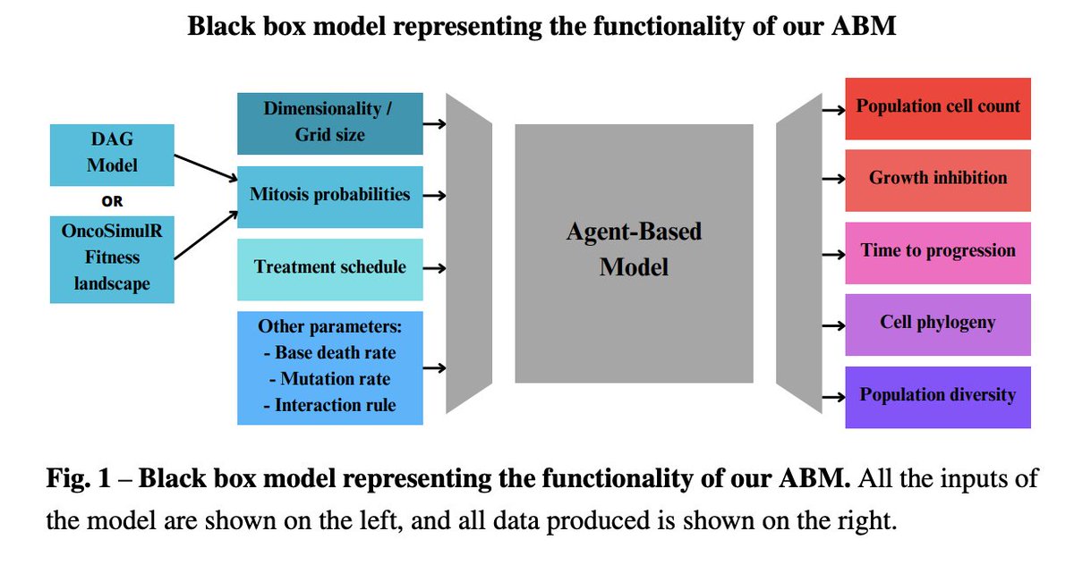 mathoncbro's tweet image. "Adaptive therapy in cancer: the role of restrictions in the accumulation of mutations"
biorxiv.org/content/10.110…