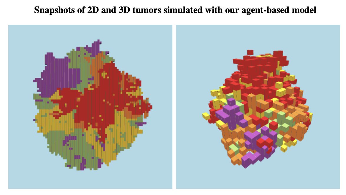 mathoncbro's tweet image. "Adaptive therapy in cancer: the role of restrictions in the accumulation of mutations"
biorxiv.org/content/10.110…