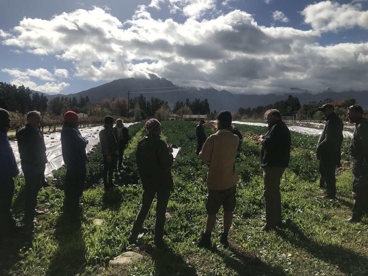 organic_zone's tweet photo. The OZ team recently attended Botanical Taste’s PGS farm visit in Tulbagh. 
The farm is part of the #WesternCape Farmers PGS &amp; in the cooler season provides us with #organic lettuce, herbs, broccoli, snow peas, spring onion &amp; brinjal. 
#KnowYourFarmer #supportlocal #CapeTown https://t.co/L2kdLBY2QW
