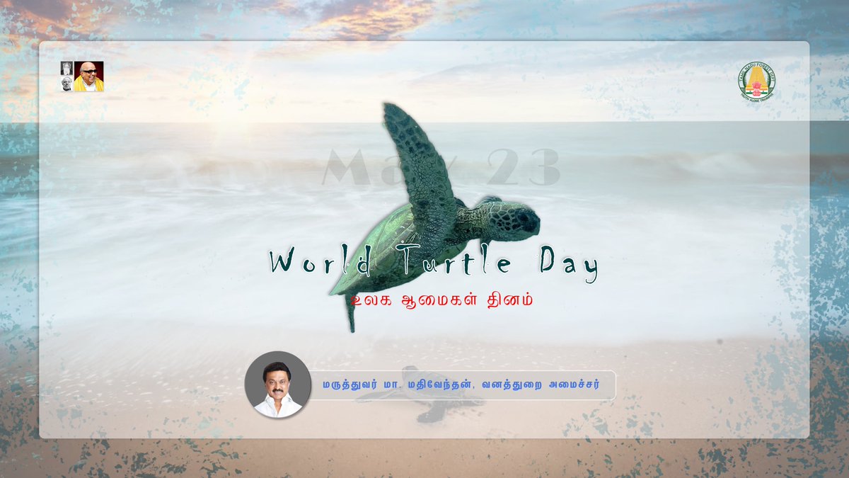 MMathiventhan's tweet photo. #WorldTurtleDay இன்று உலக ஆமைகள் தினம். கடலின் துப்பறிவாளன் என்று அறியப்படும் ஆமைகள், கடல்வளத்தை பாதுகாக்கும் அரணாக இருக்கின்றன. நாம் 60% கடல் வளத்தை நம்பியே வாழ்கிறோம். கடல் வளத்தை காக்க, ஆமைகளை பாதுகாப்போம். அனைவருக்கும் "உலக ஆமைகள் தின வாழ்த்துகள் " நன்றி https://t.co/5j82xgOGYH