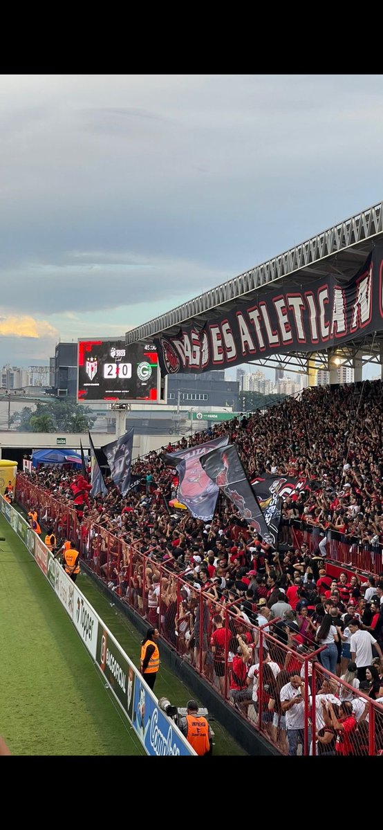 AQUI É DRAGÃO! tweet media