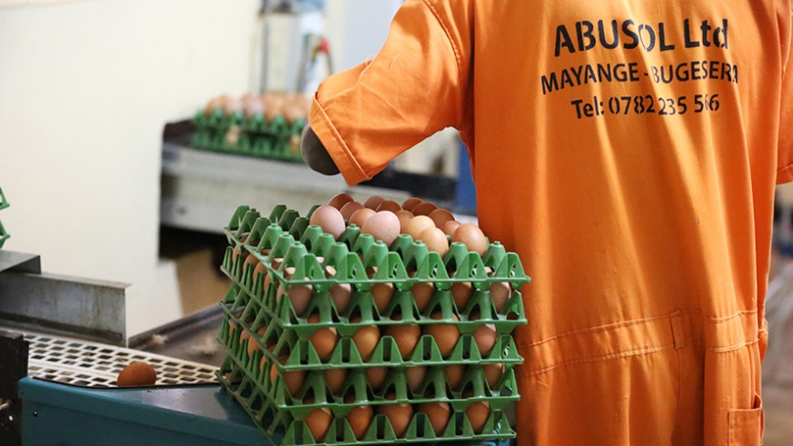 ABUSOL (Agribusiness Solution Ltd) (@Abusolltd) / Posts / X
