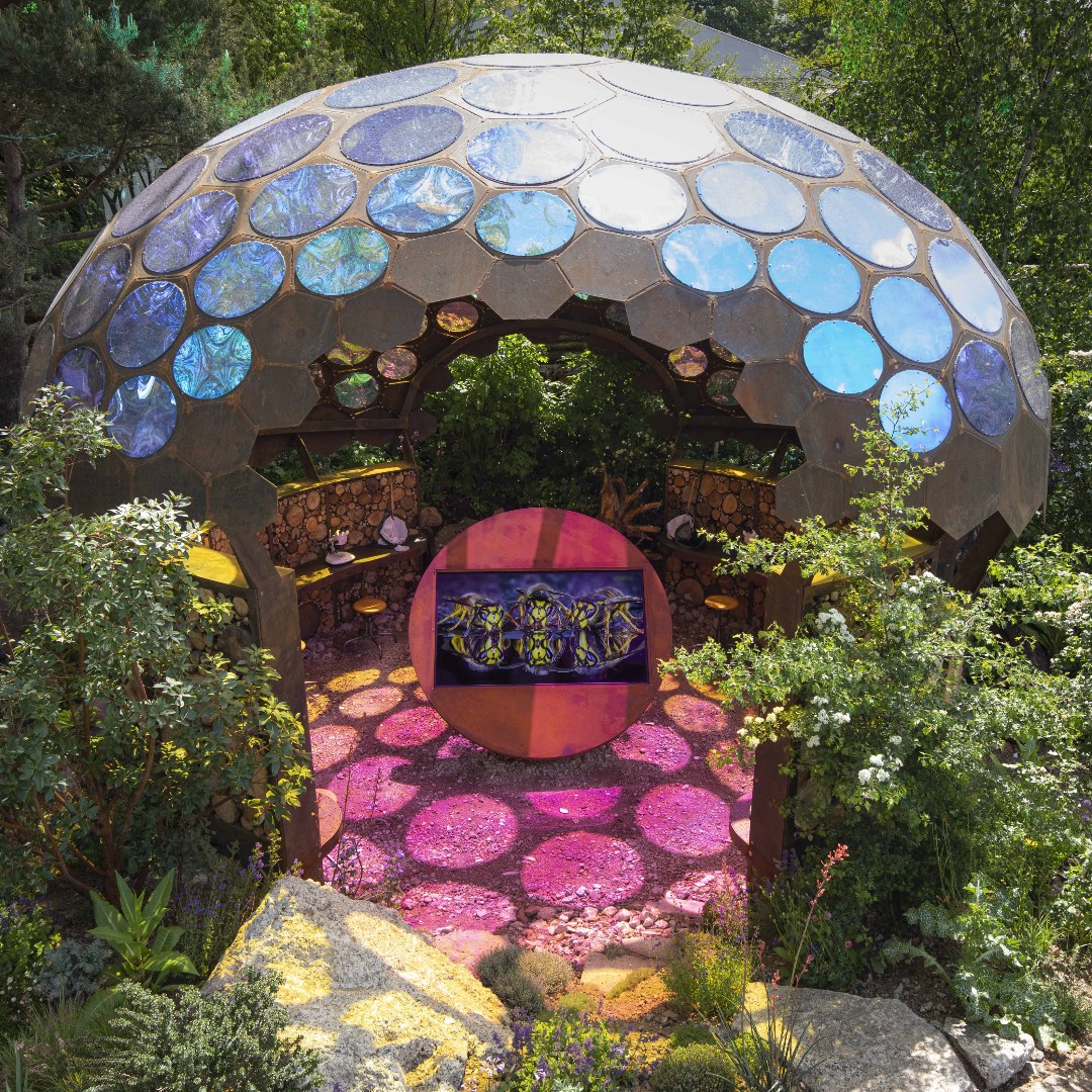 Royal Entomological Society tweet media