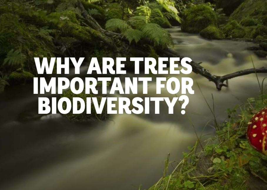 Ford Logs tweet media