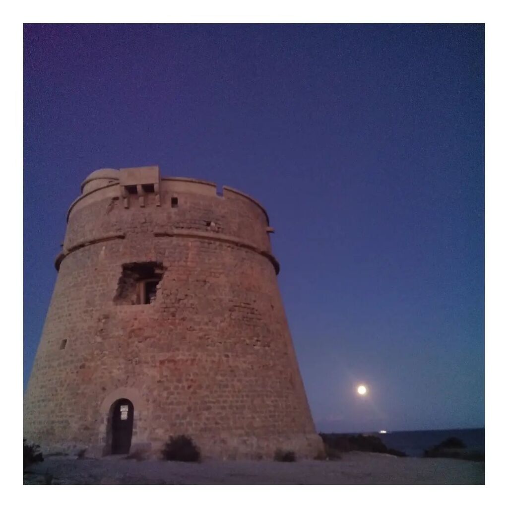 Día Internacional de las tortugas
#curiosidad143
2 cosas de las tortugas...
Velocidad: Aunque las tortugas no son conocidas por su velocidad, algunas especies pueden moverse sorprendentemente rápido en tierra. La tortuga de caja, por ejemplo, puede correr a una velocidad de …