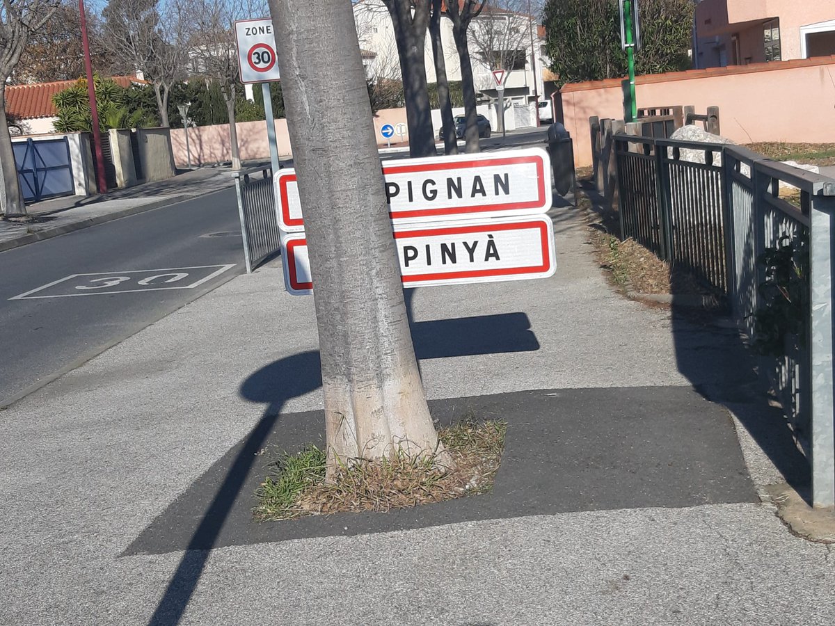 caupamat's tweet photo. Vous êtes à #perpignan , dans les P-O, et non à #Pignan, dans l’Hérault… Ce panneau d’entrée de ville se trouve au début de la rue Robert Doisneau. (photo @MTG)
Le conseil est important chez #caupamat.

Le #panneaudesignalisation c'est avant l'arbre.......pas apres. https://t.co/lxhwjG7OkG
