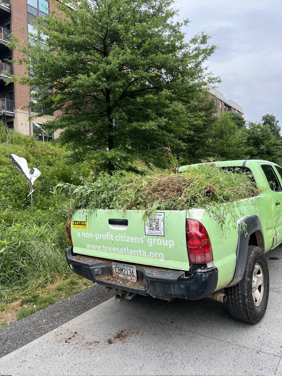 mgilliland's tweet photo. Had a fun day volunteering for @treesatlanta with our @telushealth Atlanta team! We pulled a truck load of cow parsley from the meadow on the @AtlantaBeltLine eastside trail #telusdaysofgiving https://t.co/mBJqKRc9YG