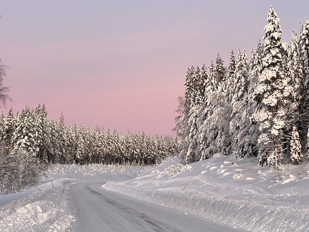 Markus Hällgren tweet media