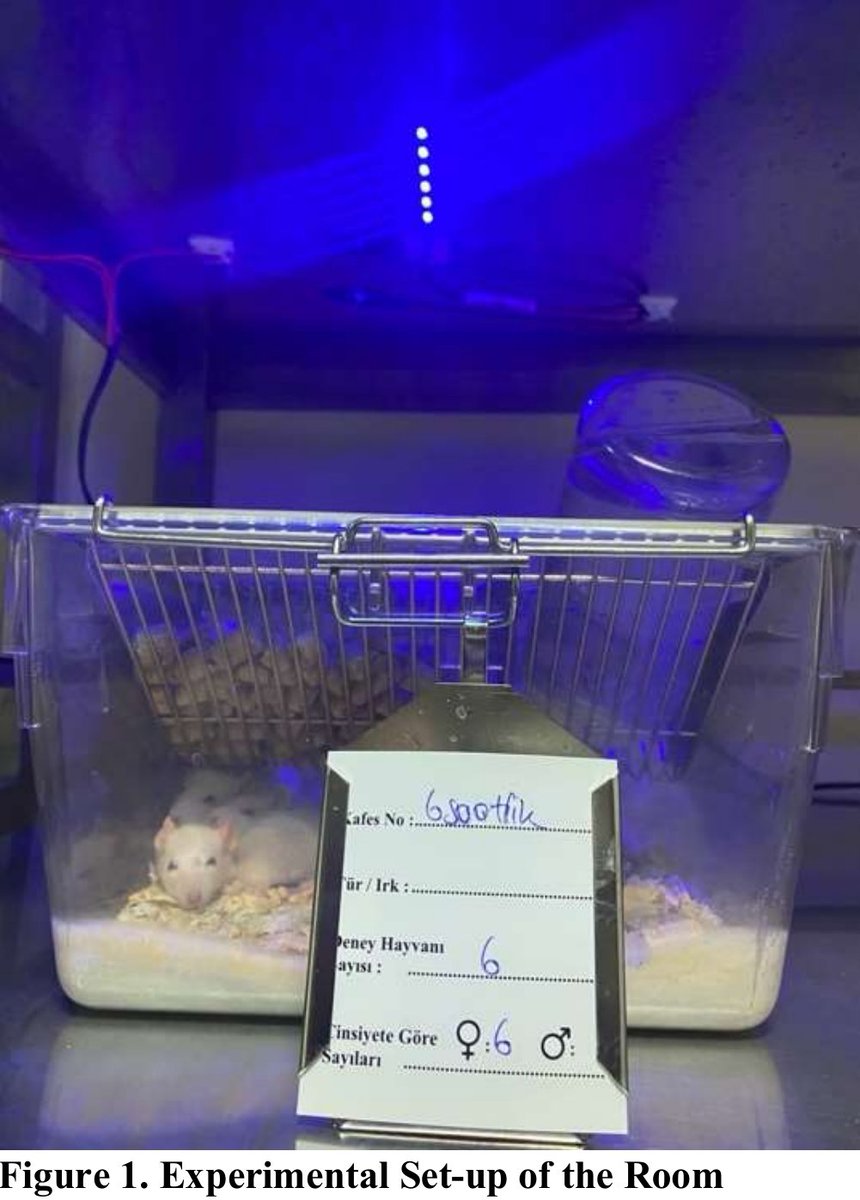 heniek_htw's tweet image. Our study showed that exposure to blue #light and the duration of exposure lead to early #puberty in #female rats. As the duration of blue light exposure increased, polycystic ovary-like, #inflammation &amp;amp;  apoptosis were detected in the ovaries.
pubmed.ncbi.nlm.nih.gov/37212628/