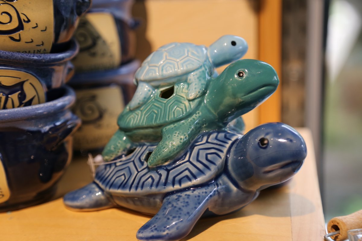NCAquariumFF's tweet image. It's World Turtle Day! Shellabrate with us. Even our gift shop is shellabrating with turtley awesome souvenirs to remember your #NCAFF visit and to support conservation. #ShellabrateTurtles #SaveTurtles #SkiptheStraw