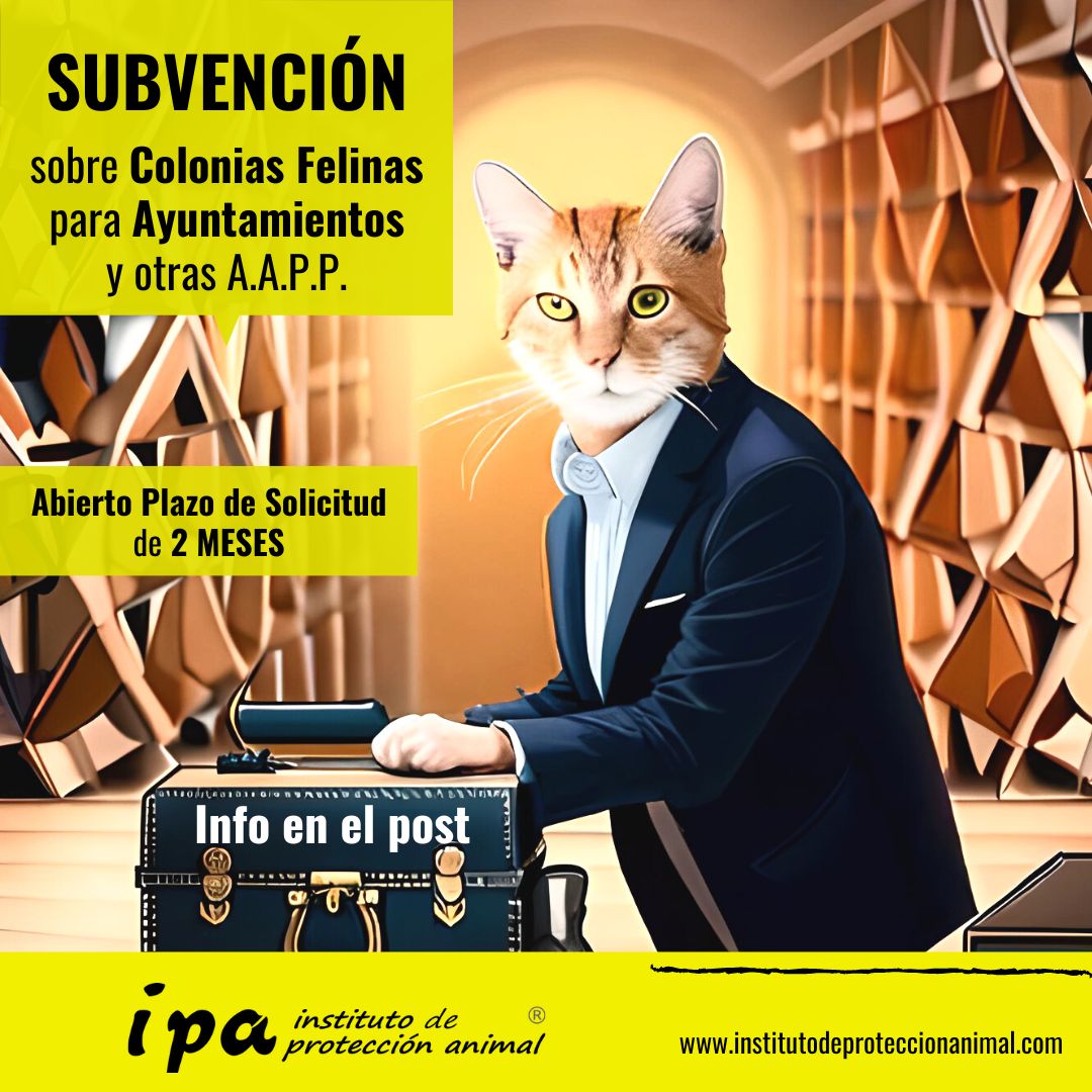 IPA Instituto de Protección Animal tweet media