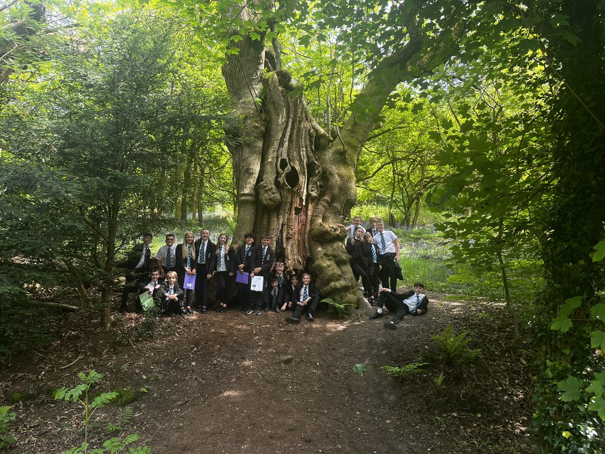 St Alban's Science tweet media