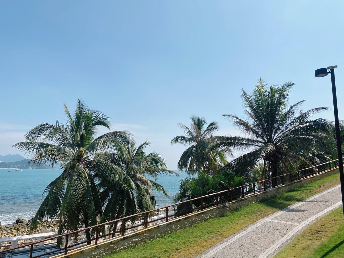 Chloe (@chloelicai) on Twitter photo 