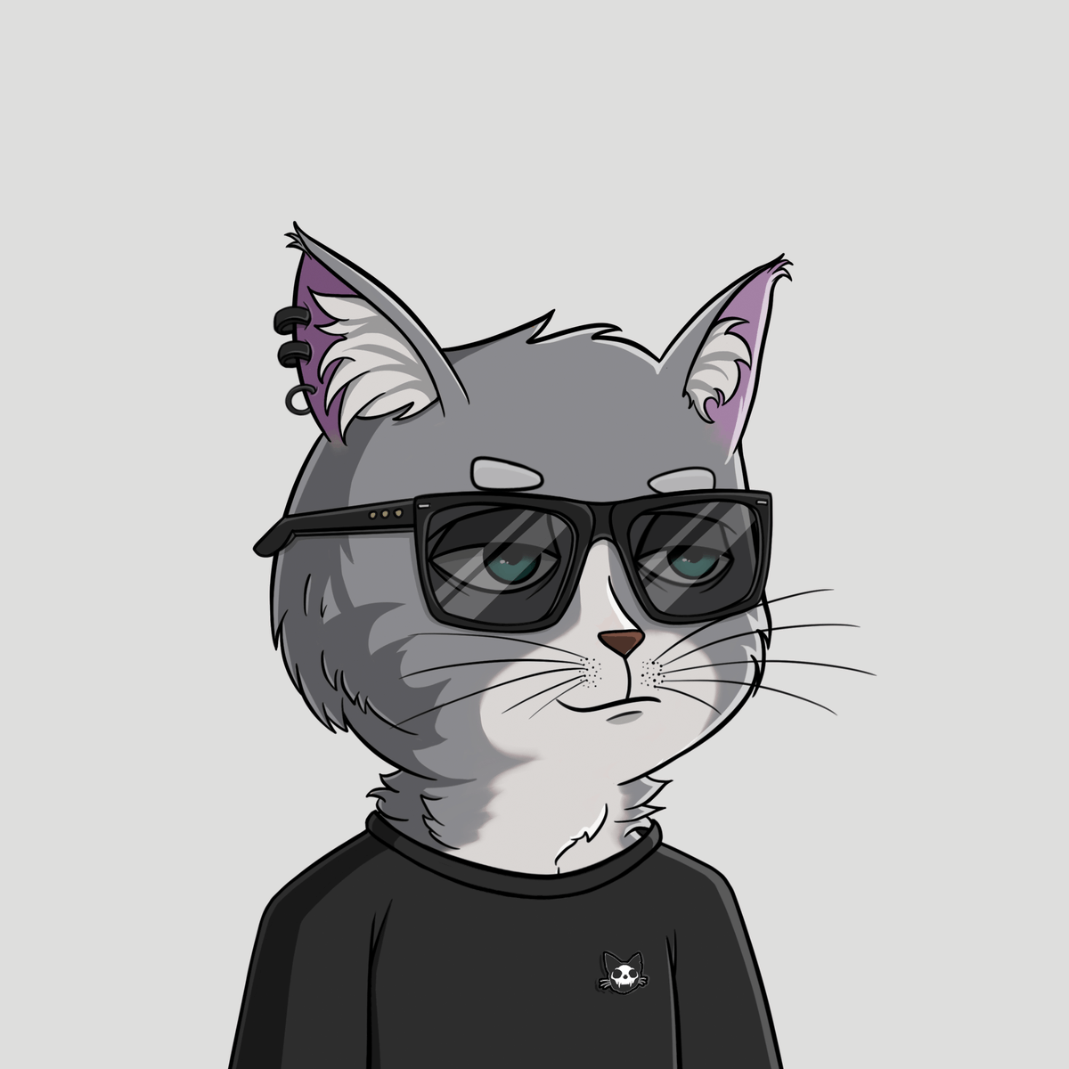 Web Cat Society tweet media