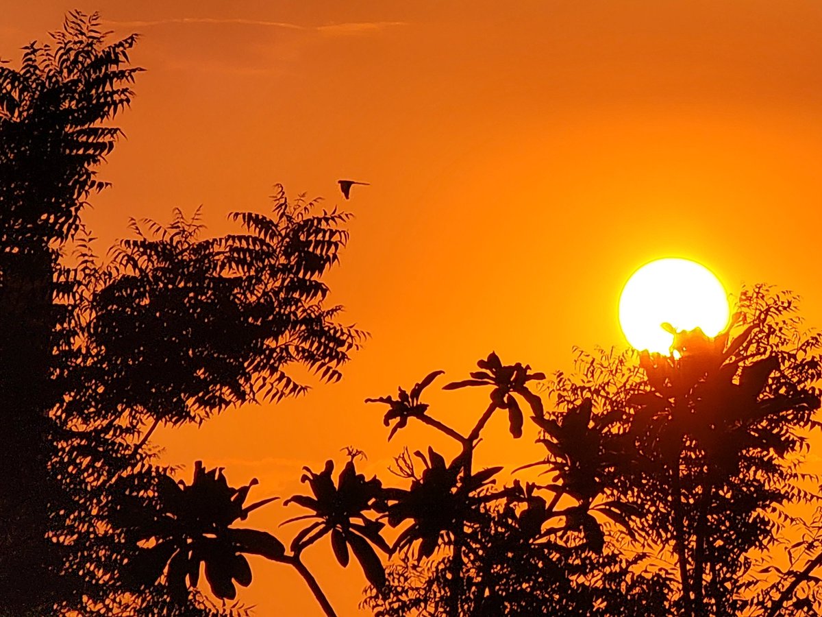 RT <a href="/dhavalpvyas/">Dhaval P Vyas, CFA (ICFAI), MS (Finance)</a>: Evening click by me :-) #mobilephotography #nofilter #sunsetphotography #sunset