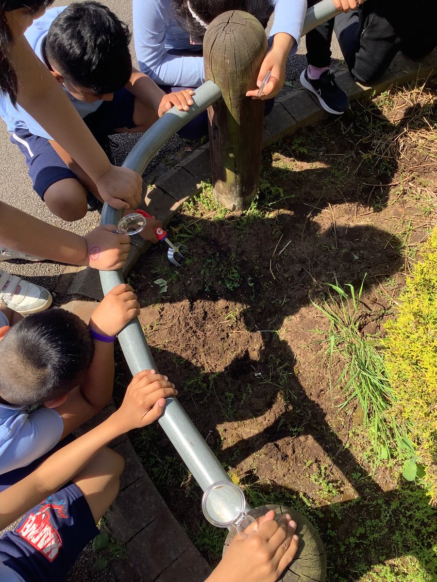 Byronprimarysch's tweet photo. 3B have enjoyed an afternoon full of science activities. We have compared 2 different types of soil and researched interesting facts about soil and what lives inside it. We are excited to ‘plant our pants‘ tomorrow.🐞🐜🔬🩳
#ByronStem
#ByronScience
#PlantYourPants
#Countrytrust https://t.co/jUuXFk5i3a