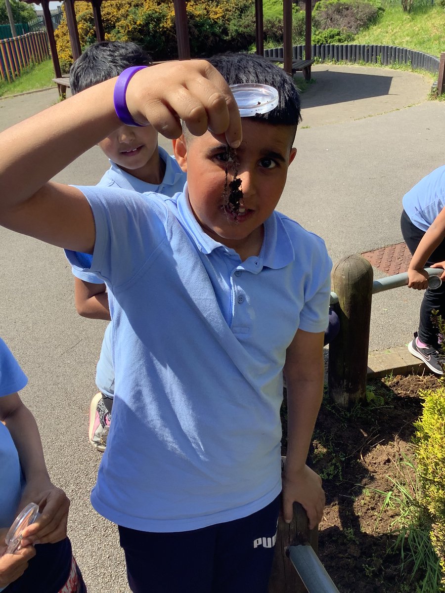 Byronprimarysch's tweet photo. 3B have enjoyed an afternoon full of science activities. We have compared 2 different types of soil and researched interesting facts about soil and what lives inside it. We are excited to ‘plant our pants‘ tomorrow.🐞🐜🔬🩳
#ByronStem
#ByronScience
#PlantYourPants
#Countrytrust https://t.co/jUuXFk5i3a