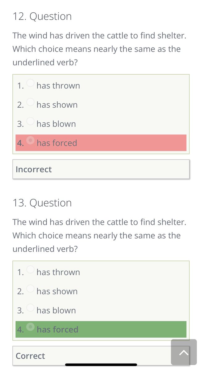 Kathy Chambers ⚓️⬇️ tweet media