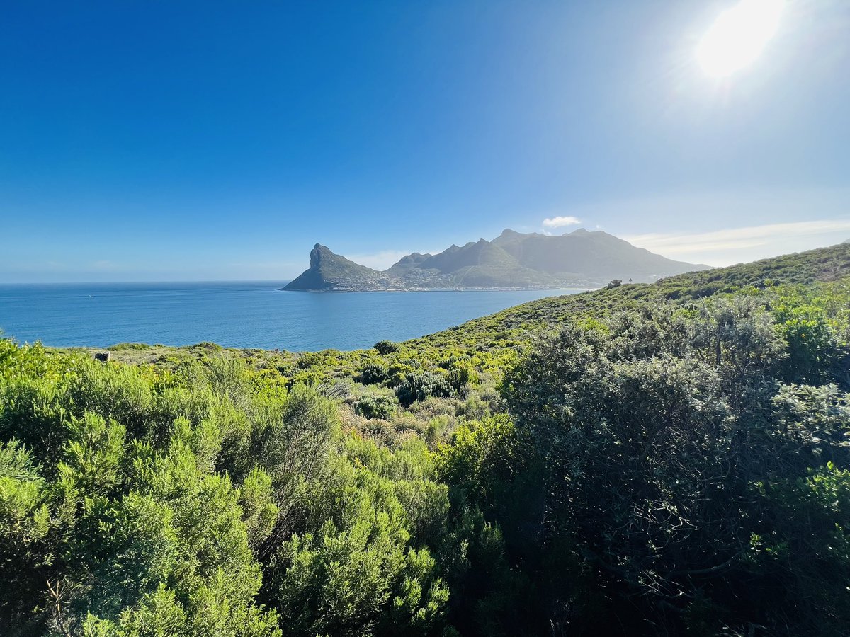 Cape Town must be one of the most beautiful cities on earth and #Chapmans Peak one of the best motorcycle rides. #harleydavidson