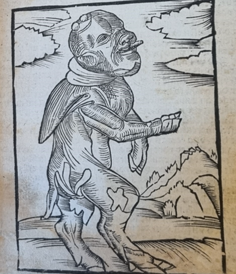 LuthersMonkCalf's tweet photo. Spot the difference between the german 'monk-calfe' and the english one! The printers carved a new woodcut for each- which do you think came first? https://t.co/p5o2BrOZ6K