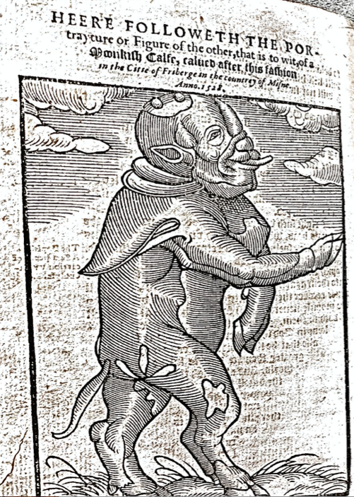 LuthersMonkCalf's tweet photo. Spot the difference between the german 'monk-calfe' and the english one! The printers carved a new woodcut for each- which do you think came first? https://t.co/p5o2BrOZ6K