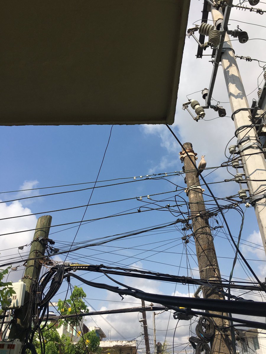 Veracruz Vigila tweet media