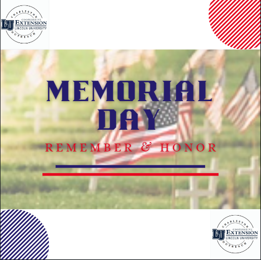 CharlestonLUCE's tweet photo. Today we honor all U.S. military members who lost their lives during service to our country. 
For more information on the forgotten history of Memorial Day visit: 
https://t.co/eyVXmYuikg https://t.co/l5y4SvpmMK
