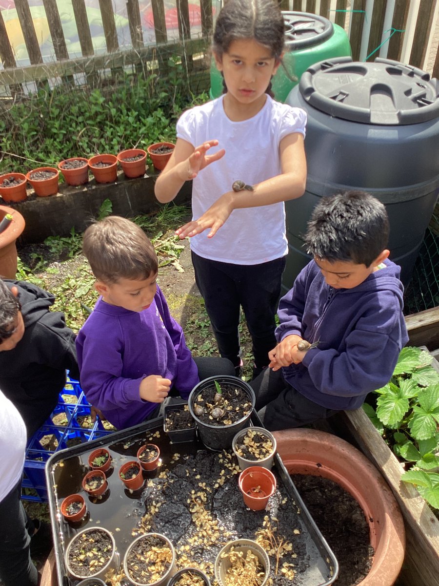 ECS_Keighley's tweet photo. Snails, snails, snails and more snails in reception. 🐌🐌🐌
#childleadlearning #snailsarefascinating #learningoutsidetheckassroom #pleasebegentle https://t.co/rt2VxGVJ0f