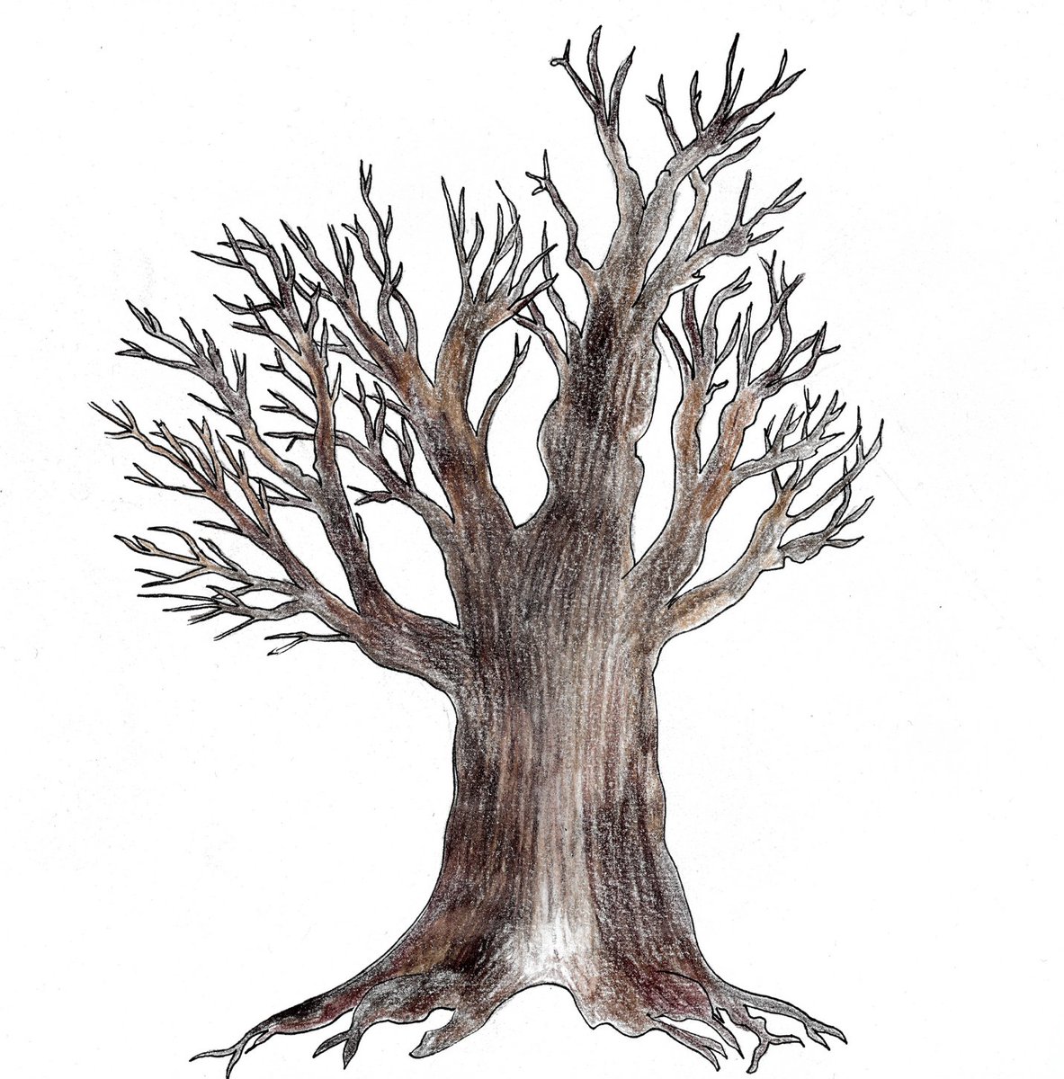 June 11th tweet media