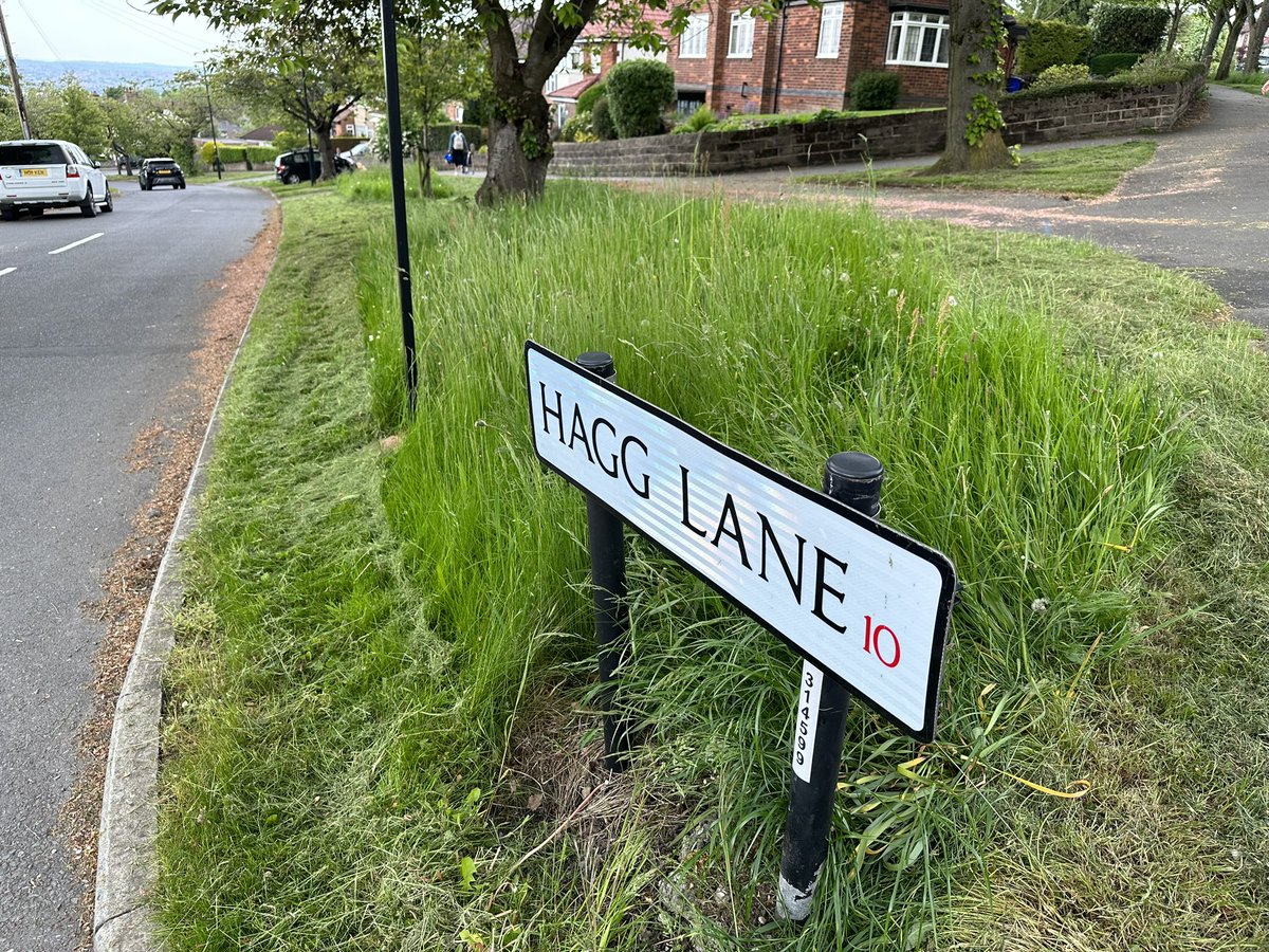 Neill Birchenall tweet media