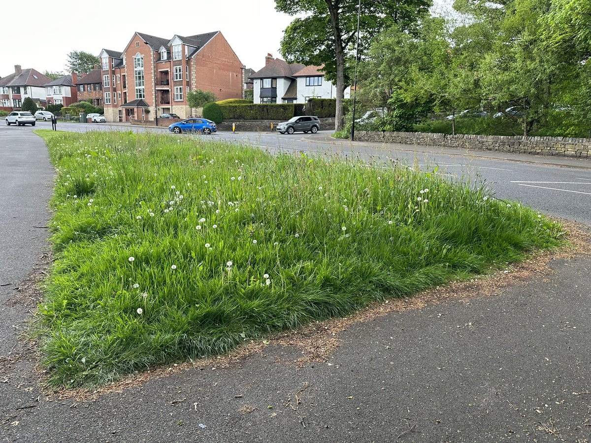 Neill Birchenall tweet media