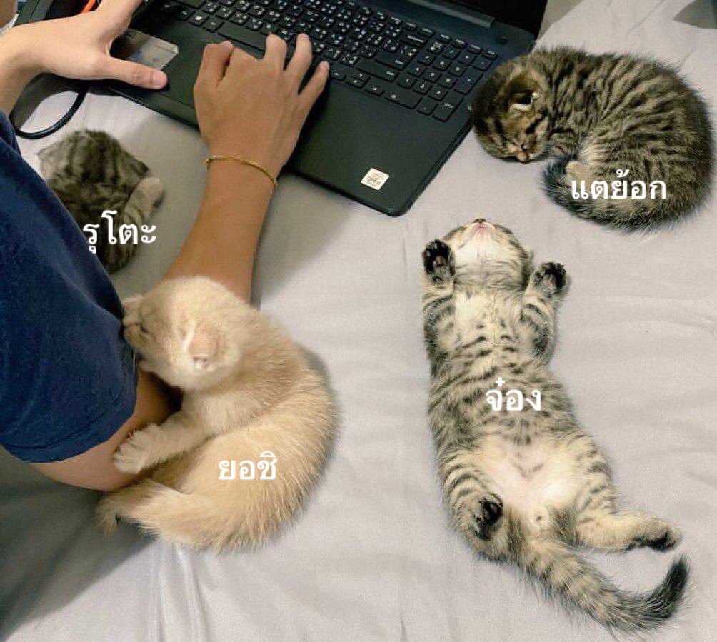 พี่ซ้อกทำเพลง น้องๆทำไย