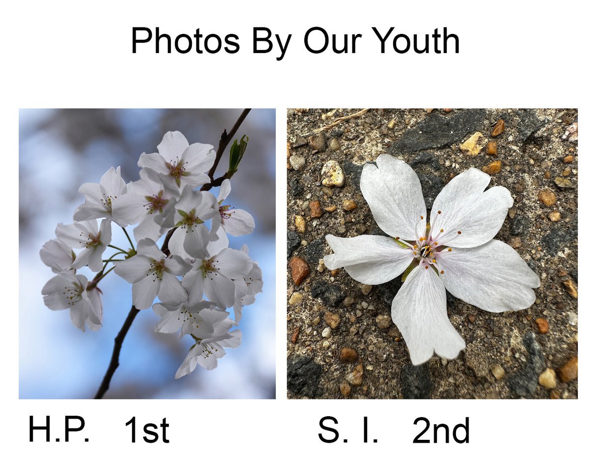 Congratulations to the following students for winning BIG in the NVCT Spring Photo contest! In order: Mikayla David 1st, Addison Knight 2nd, Ben Chapuis 2nd, Eliana Lee 2nd, Holly Purcell 1st and Simone Ichwantoro 2nd. @principalWHS <a href="/wakefieldptsa/">Wakefield HS PTSA</a> <a href="/nvct/">Northern Virginia Conservation Trust</a> <a href="/APSArts/">APS Arts Education</a>