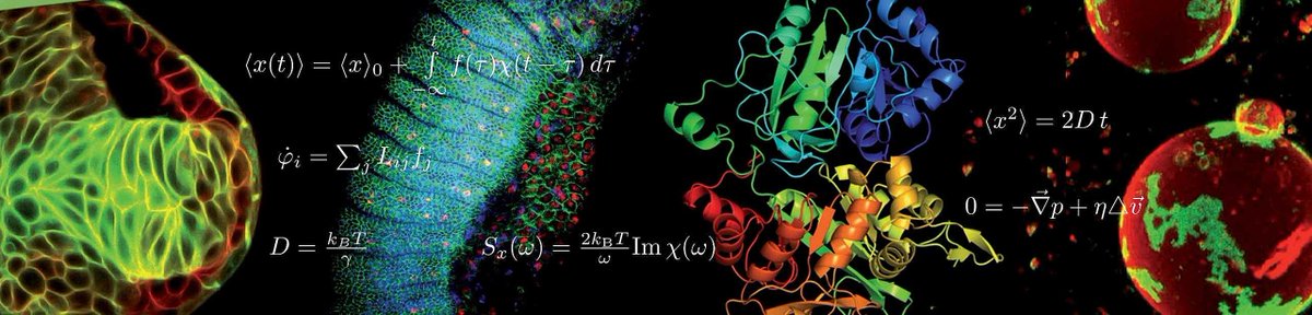 FischerFriedLab's tweet photo. You are looking for a #Master course at the interface of #Physics and #Biology in the neighbourhood of excellent science? Apply to our #Mastercourse @PoLDresden
https://t.co/h44S1hAVZ1 https://t.co/pdY9IfAXox