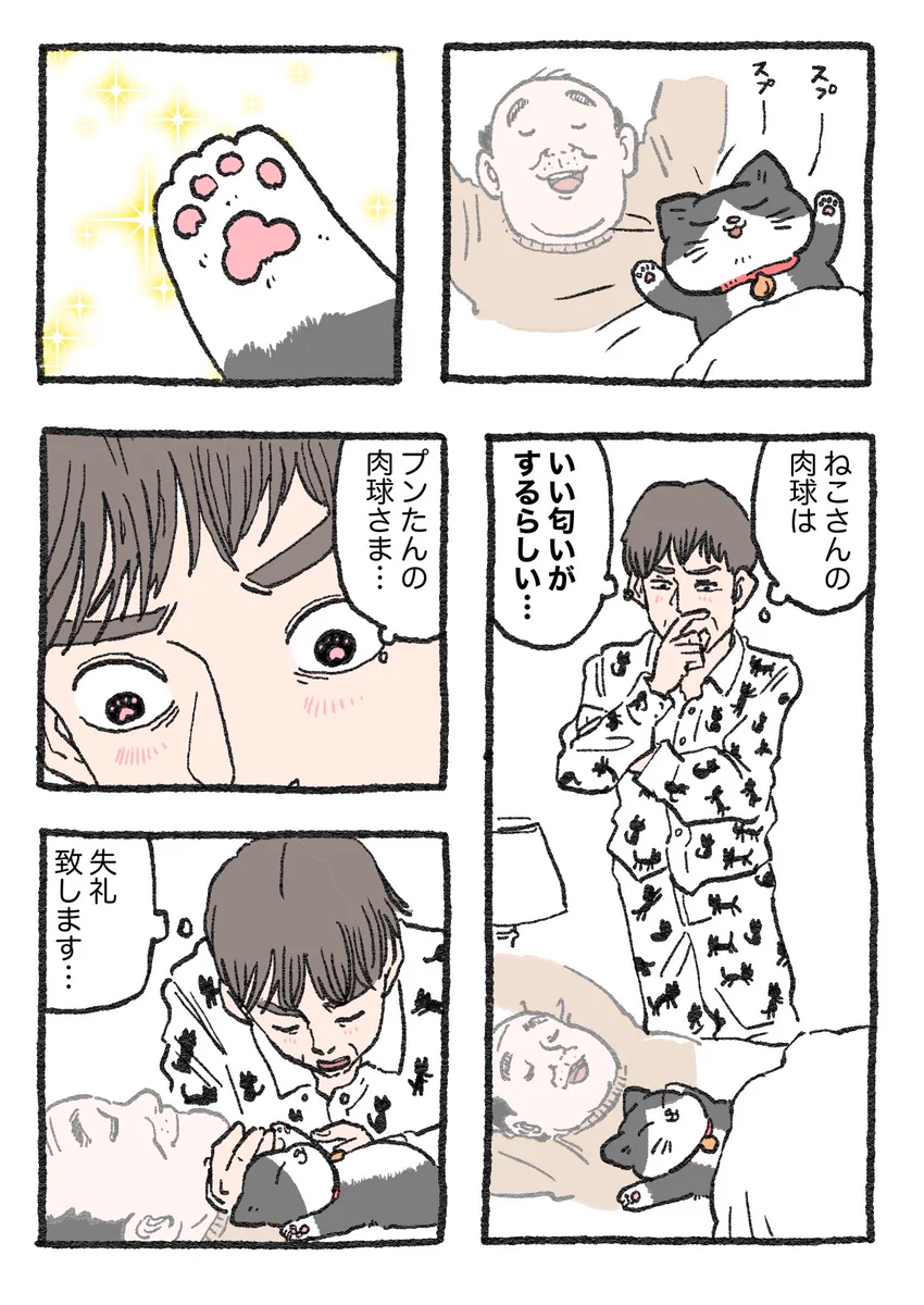 「ねこ転」その108が公開！プンちゃんの肉球はどんな匂い？？
