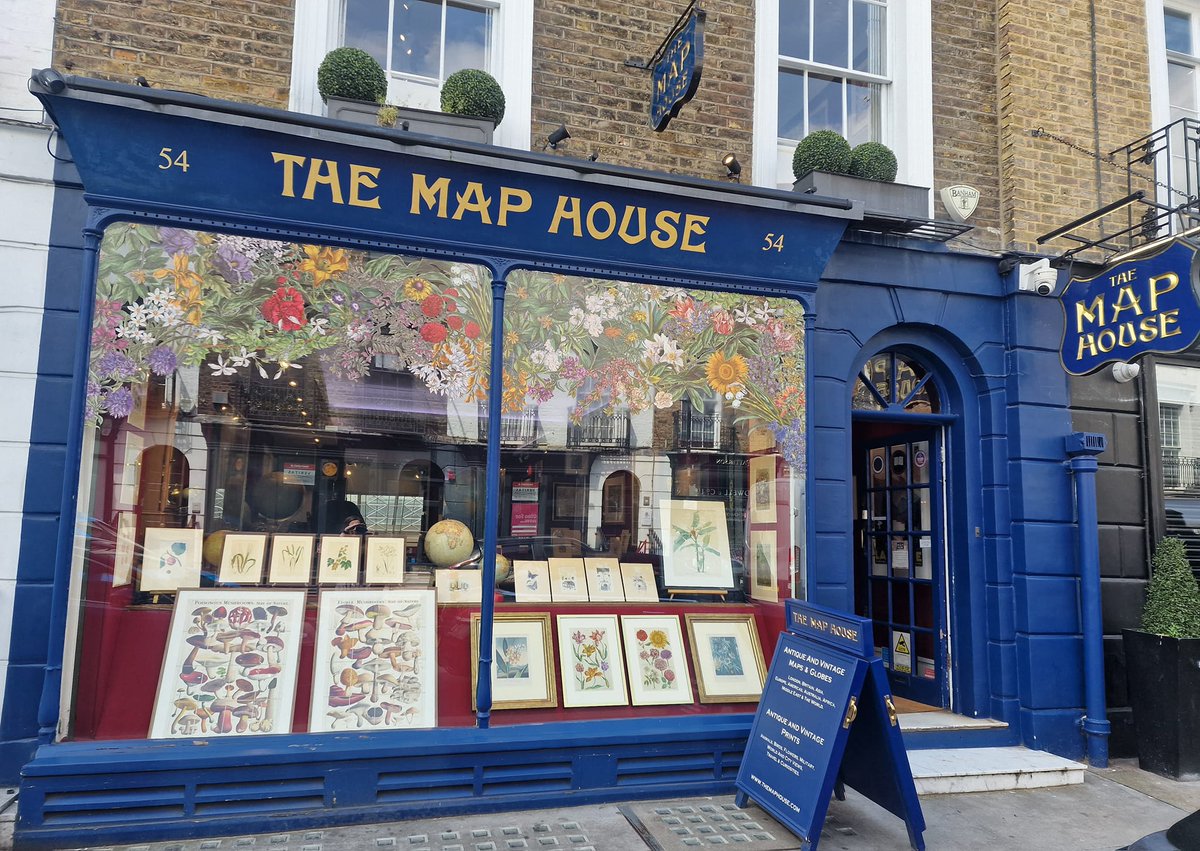TheMapHouse's tweet photo. The Map House in full bloom 💐 Inspired by @TheRHS Chelsea Flower Show just around the corner, we have adorned the gallery window with fine original botanical and natural history engravings.  Explore now: https://t.co/pIjVmTbT2U  

#maps #antiques #chelseaflowershow2023 https://t.co/pWABKPEDir