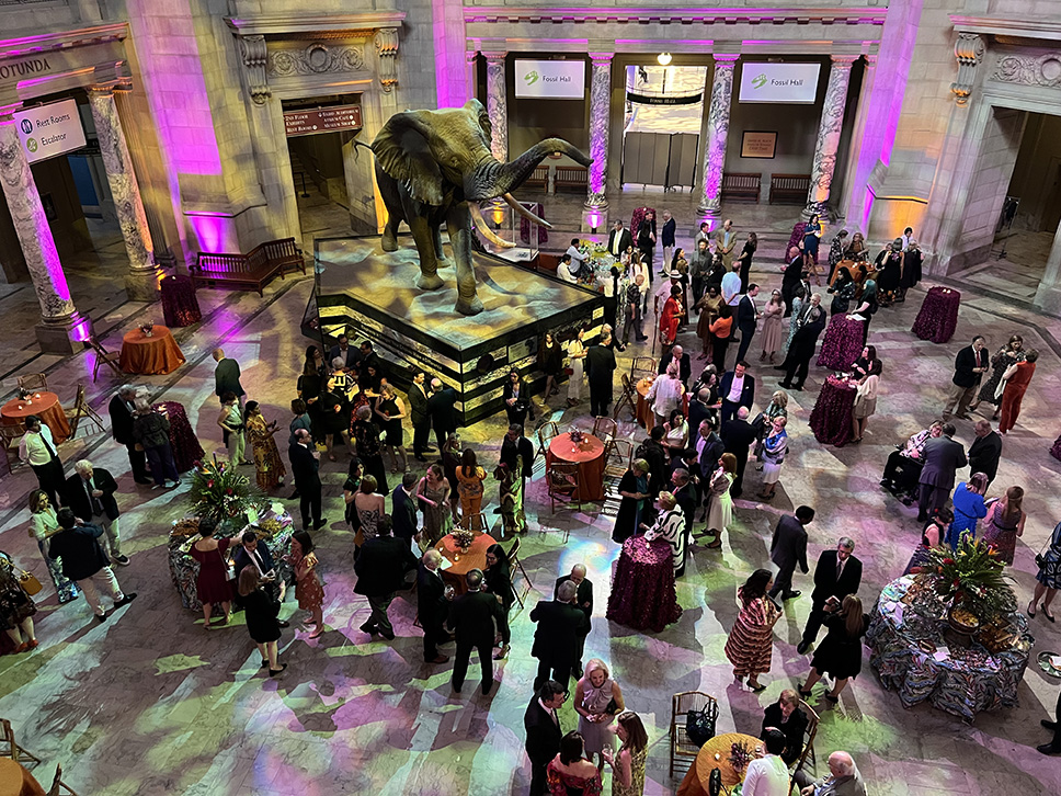 It was a joy to join friends of the Smithsonian and <a href="/stri_panama/">Smithsonian Panama</a> to celebrate the #BarroColoraro100 exhibition and a century of scientific achievement. 

As we grapple with climate change, I am filled with hope by this long-term biological research and its benefits for humanity.