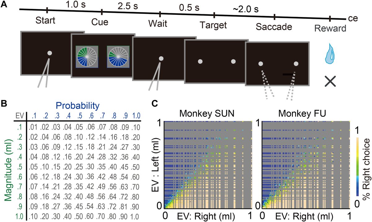 ScienceMagazine: Both humans and monkeys take more risks after lucky outcomes in gambling, according to a new analysis in <a href="/ScienceAdvances/">Science Advances</a>. scim.ag/2Iv
