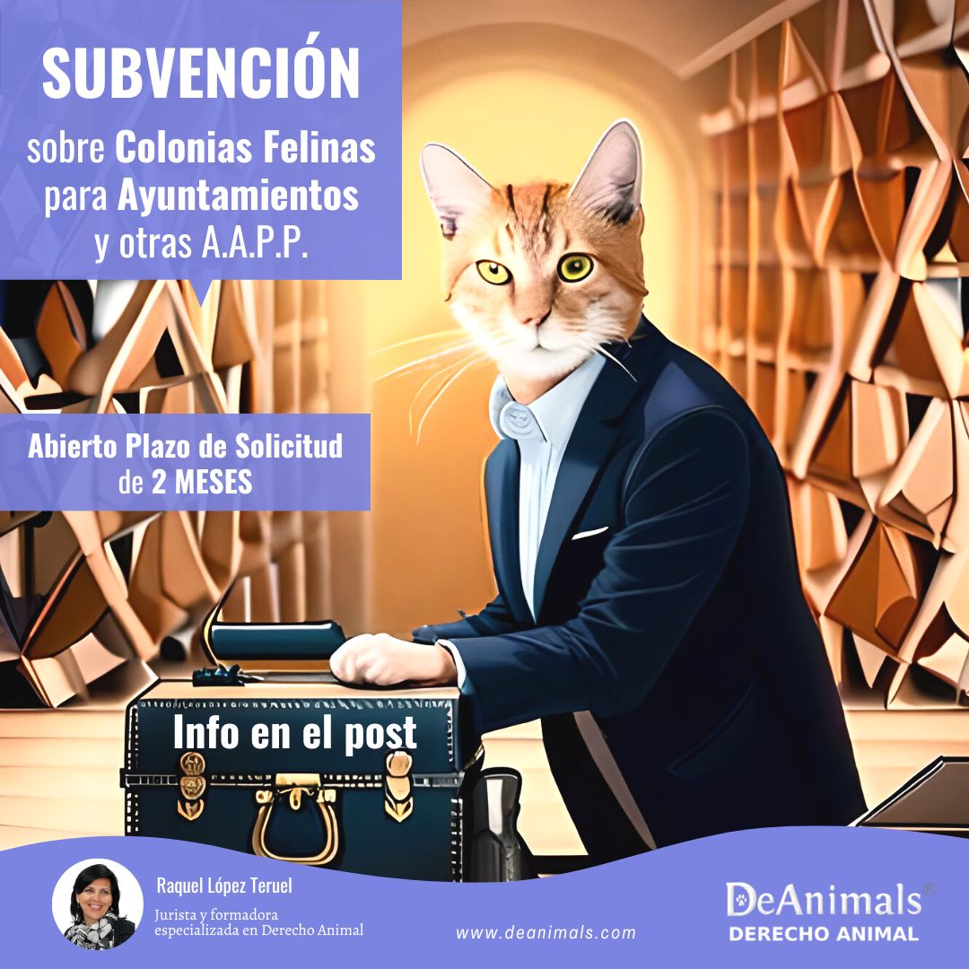 DeAnimals | Escuela de Formación en Derecho Animal tweet media