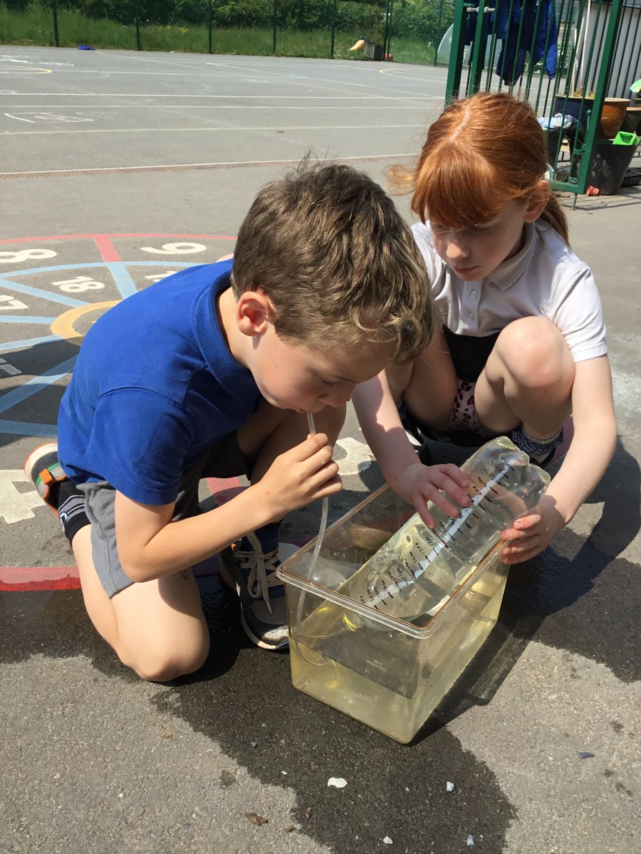 WyeHay's tweet photo. It's all about the body in Y3! Our big question to investigate was 'do taller people have a bigger lung capacity?' A visitor helped us learn how to keep our minds healthy, then we made models of the brain. We found ways to label the different areas of the brain. All in sunshine! https://t.co/XfiyoU2Is4