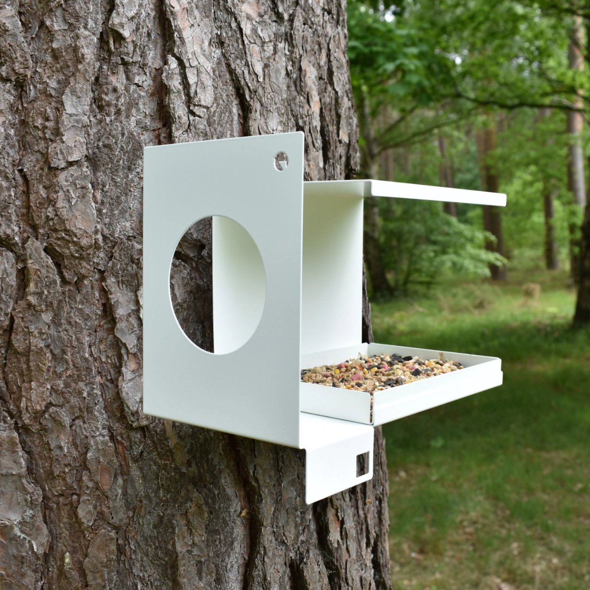 sleeperbrackets's tweet photo. From sleek and modern across goofy and fun to traditional and elegant Jake's Farm Yard has a collection of bird feeders as diverse as the feathered friends who come to visit them. 

https://t.co/8buwPyXSJl https://t.co/ik7QhtOxwl