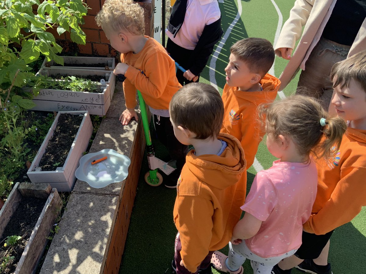 RDPSNursery's tweet image. Sun time fun time outside - big drawing using crayons on cardboard and rescuing a bee! 🐝🖍😎
#RDPSNursery #saveourbees #Outdoormarkmaking