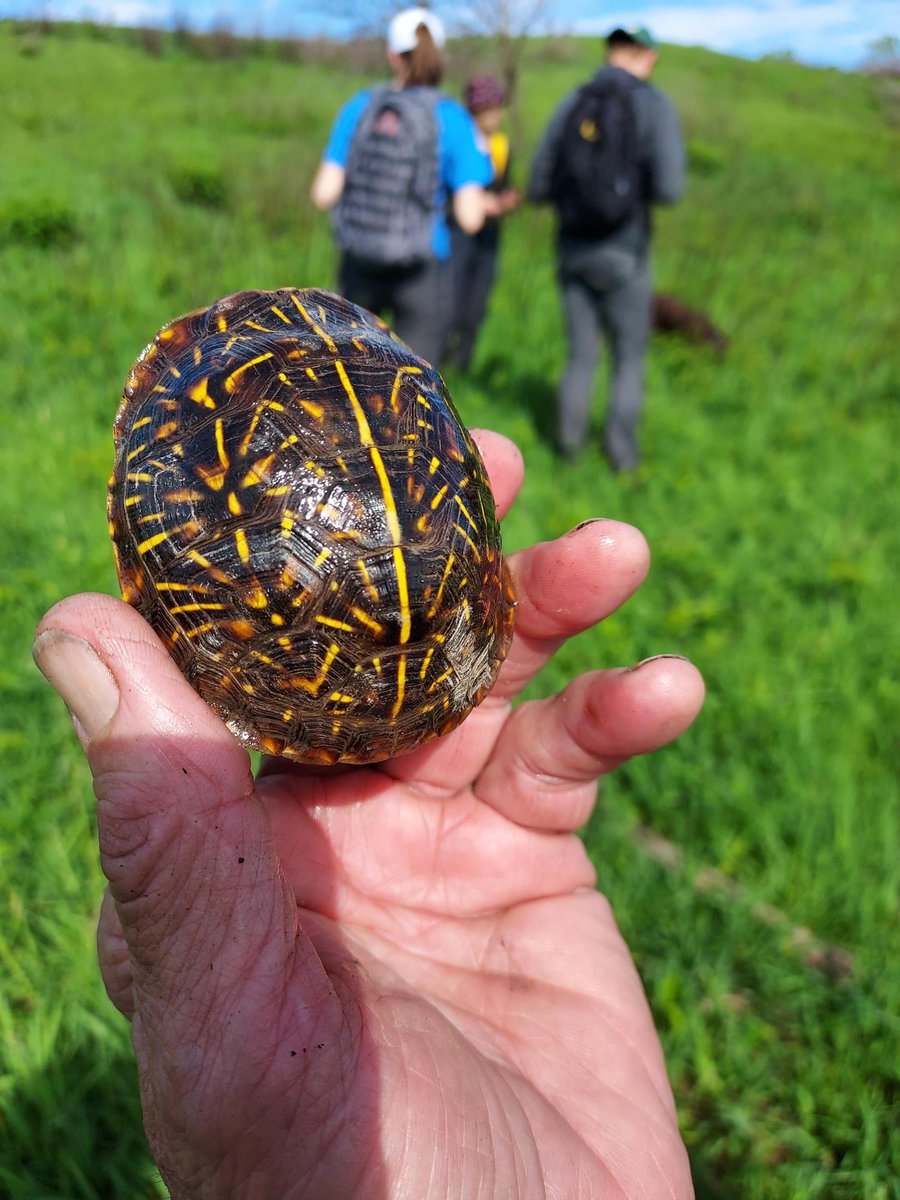 TNC in Illinois tweet media