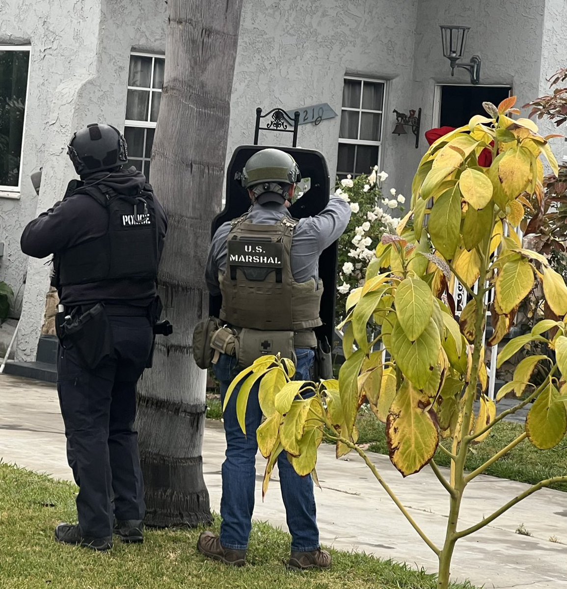 Lillian L. Carranza (Retired)🇺🇸 tweet media