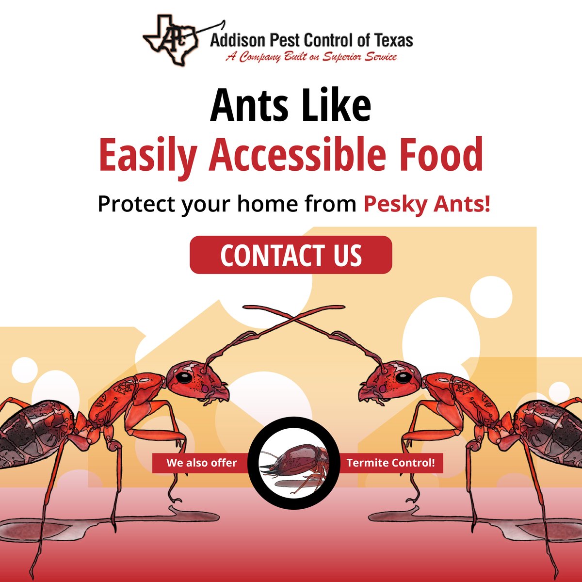 AddisonPest's tweet image. Ants are usually unwelcome guests because they eat your food and bring friends uninvited. APC is here to protect your home or property from #pests including wildlife, insects, and more- get in touch with us. #termiteremoval #antremoval #wildliferemoval #northtexas #pestcontrol